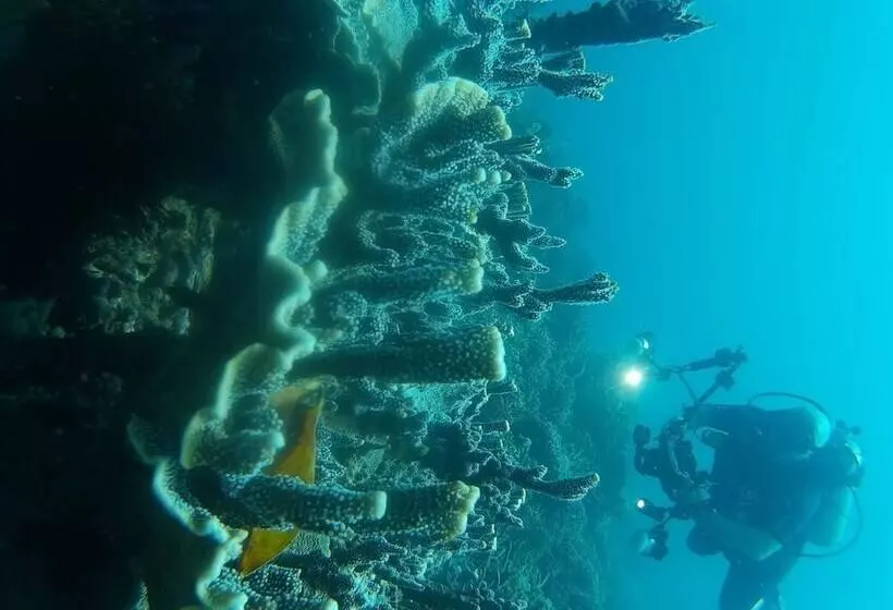 East Lombok Dive Hotel   Hostel