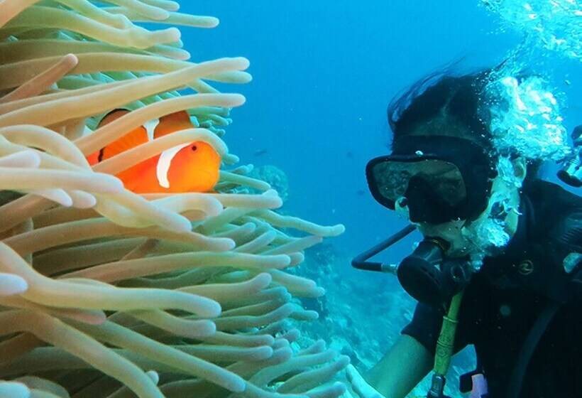 East Lombok Dive Hotel Hostel