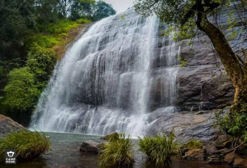 Jungle Mount Adventure Camp   Hostel