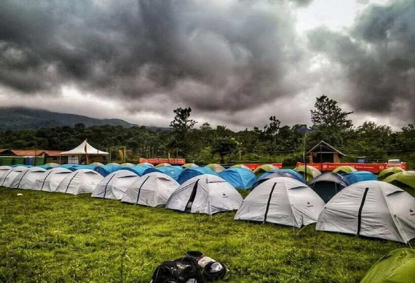 Jungle Mount Adventure Camp   Hostel