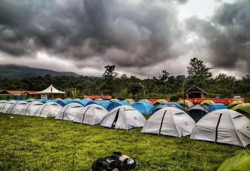 Jungle Mount Adventure Camp   Hostel