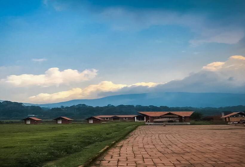 Jungle Mount Adventure Camp   Hostel