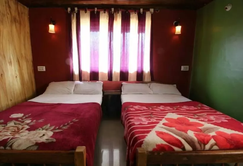 Jungle Mount Adventure Camp   Hostel