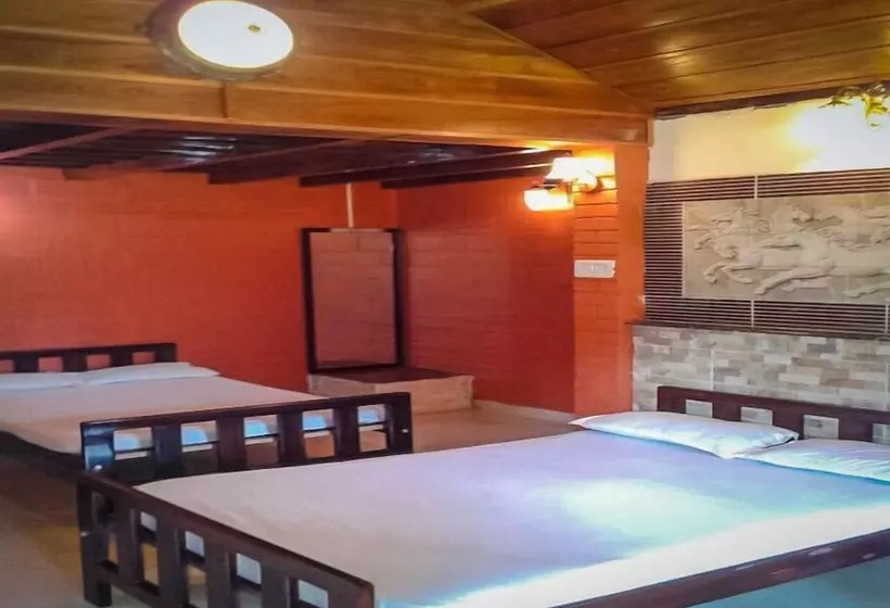 Jungle Mount Adventure Camp   Hostel