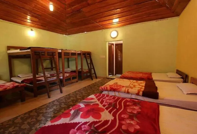 Jungle Mount Adventure Camp   Hostel