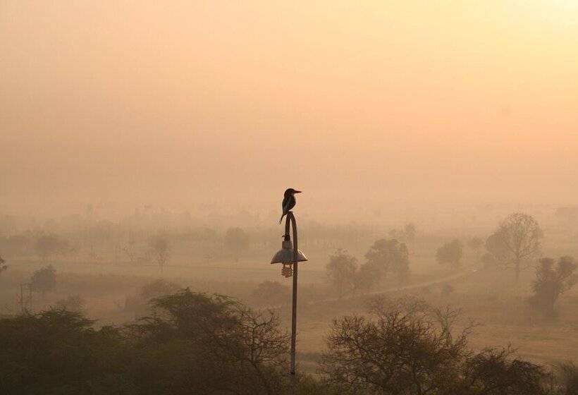 Отель Aamod Mudfort Kuchesar