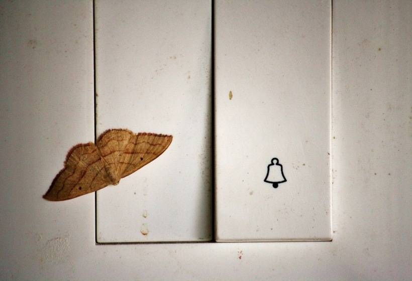 בית מלון כפרי Cottage Nirvana