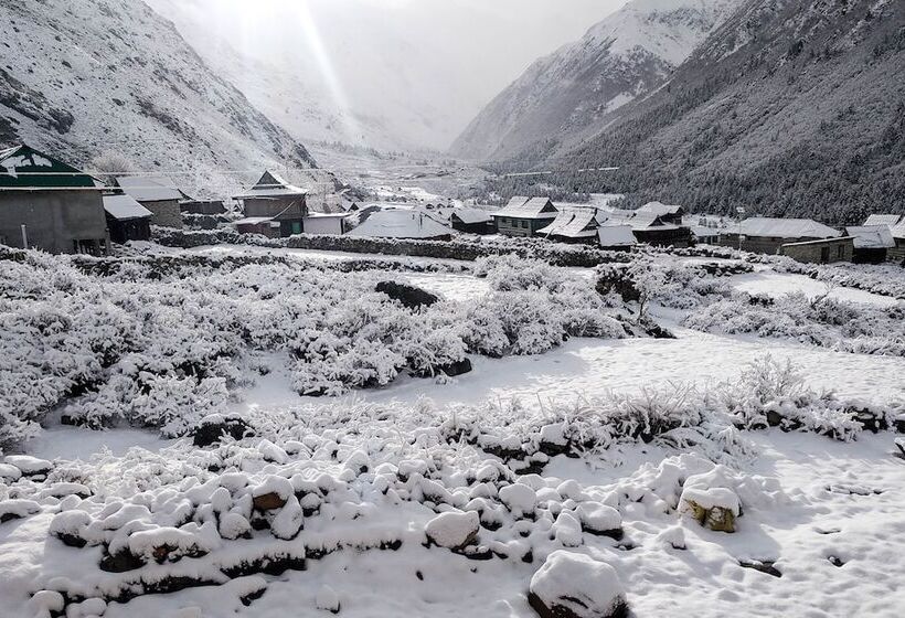 호텔 The Wanderers Nest