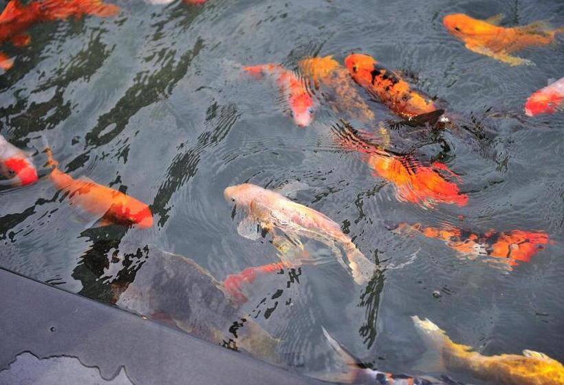 Madhubhan Resort & Spa