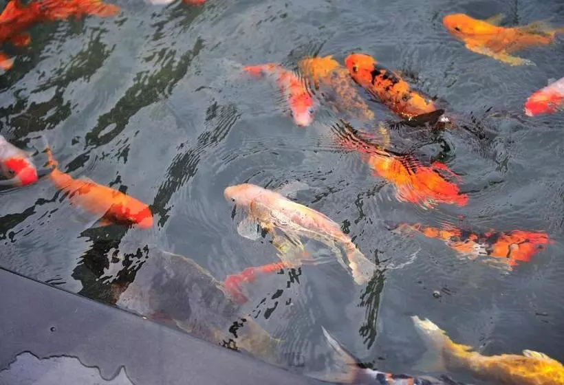 Madhubhan Resort & Spa