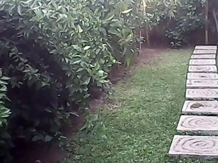 ペンション Bali Sari Homestay