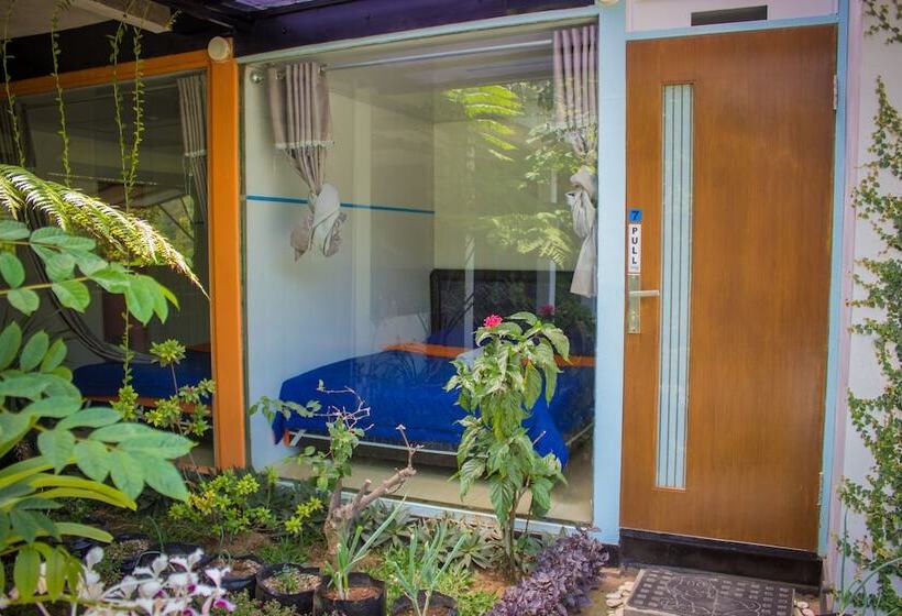 ペンション Bromo Ecolodge