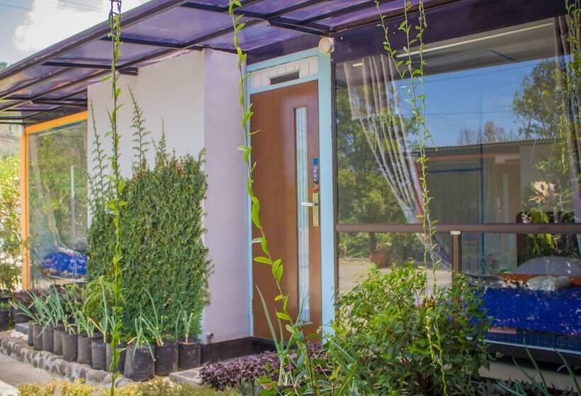 ペンション Bromo Ecolodge