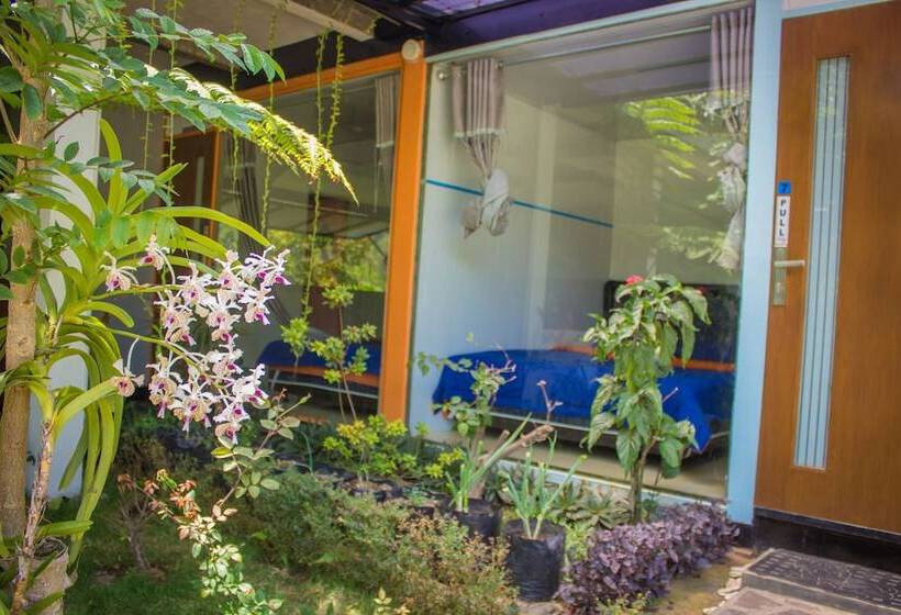 ペンション Bromo Ecolodge