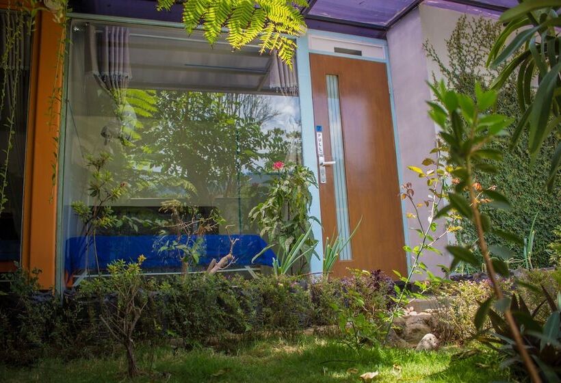 ペンション Bromo Ecolodge