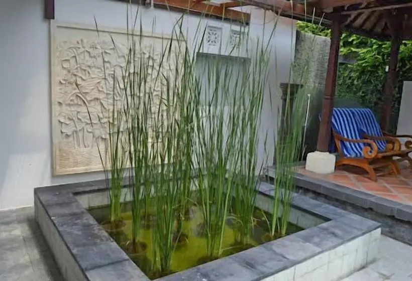 ペンション Kelapa Guest House