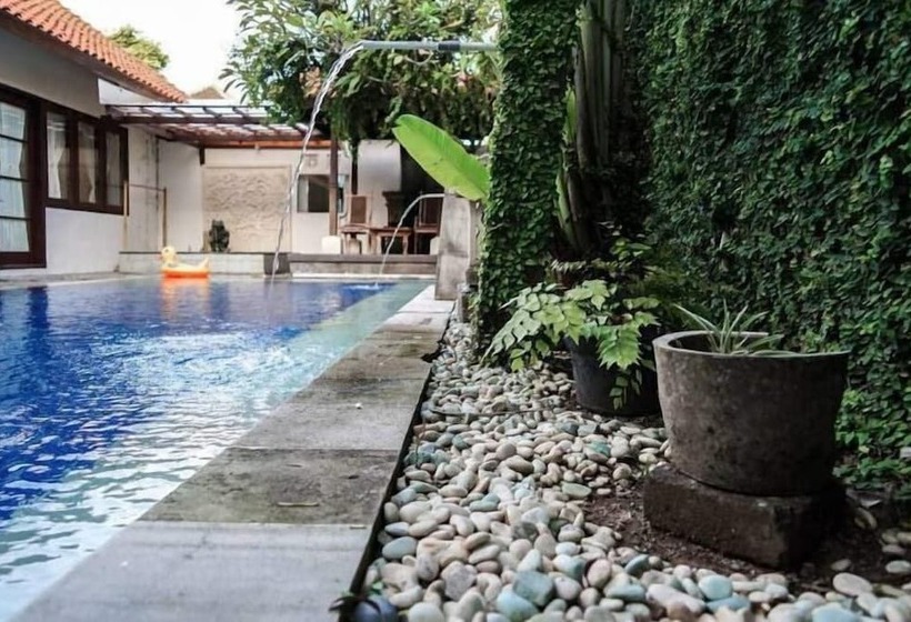 פנסיון Kelapa Guest House