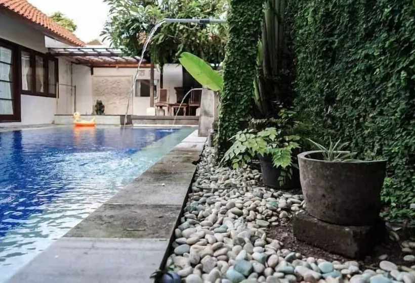 ペンション Kelapa Guest House