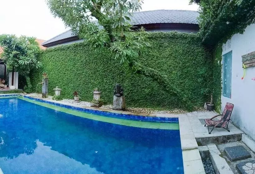 ペンション Kelapa Guest House