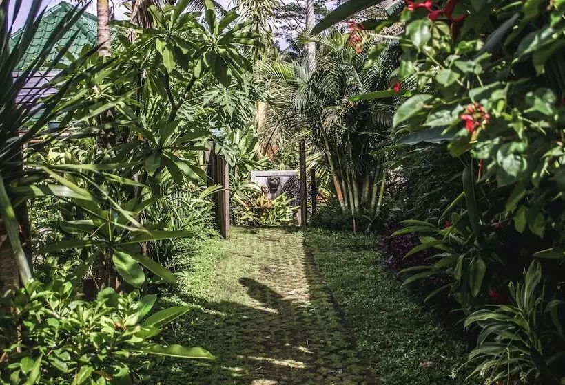 ペンション Kubu Jamu Ubud