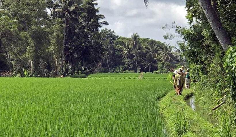 Пансион Kubu Jamu Ubud