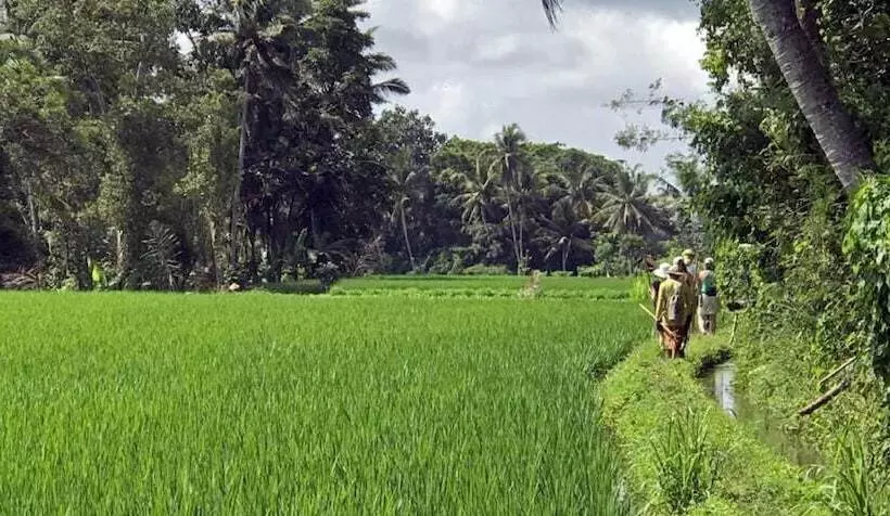 ペンション Kubu Jamu Ubud