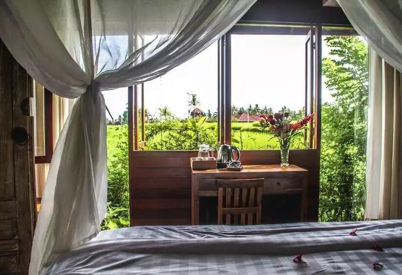 ペンション Kubu Jamu Ubud