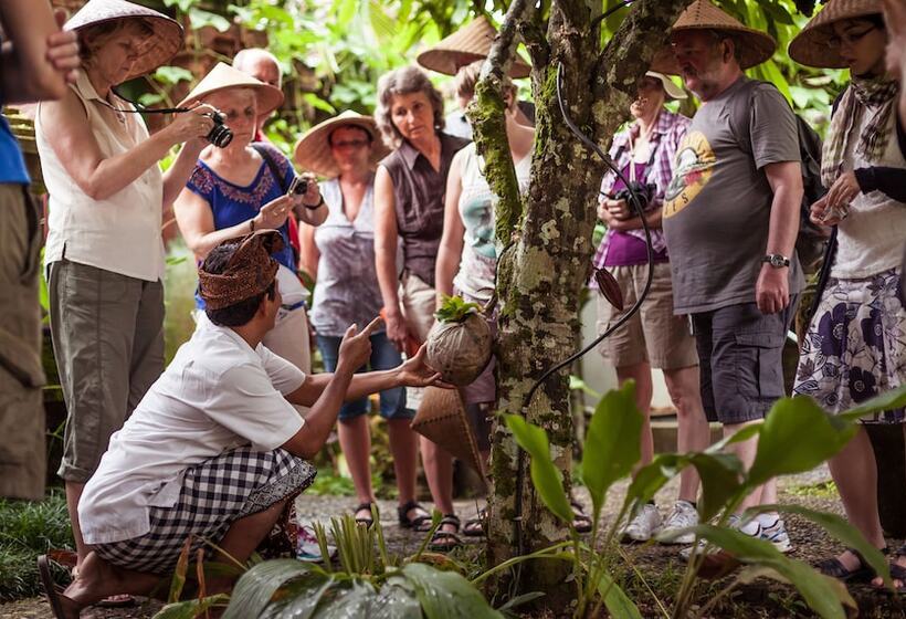 膳宿费 Rumah Desa Bali