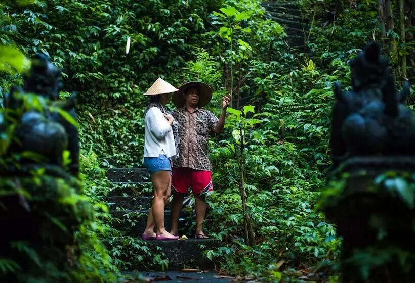 Majatalo Rumah Desa Bali