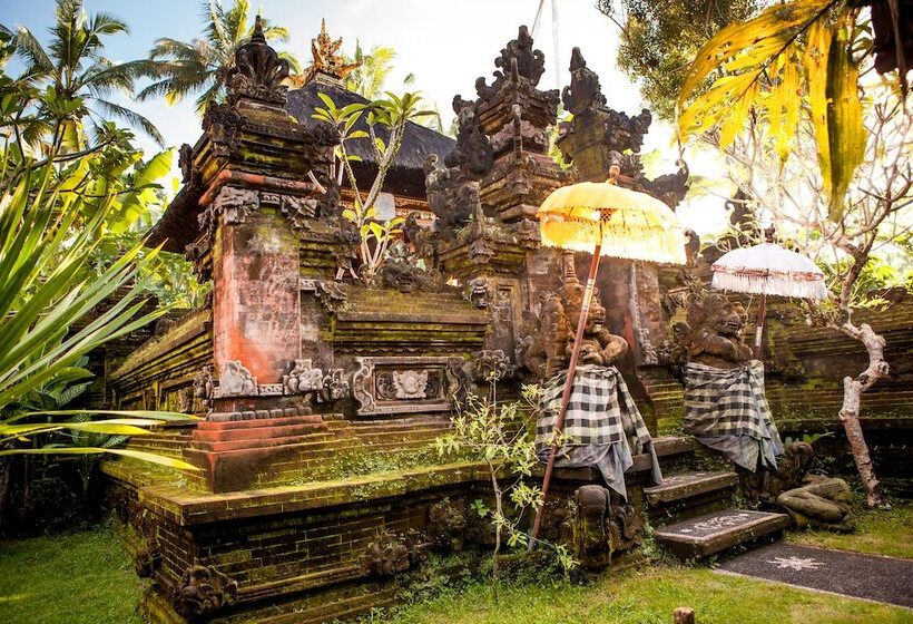 膳宿费 Rumah Desa Bali