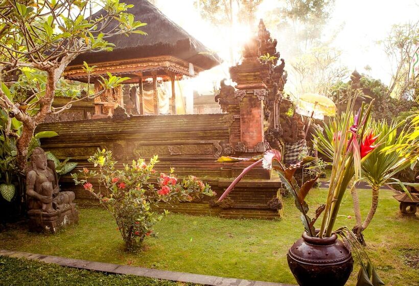 膳宿费 Rumah Desa Bali