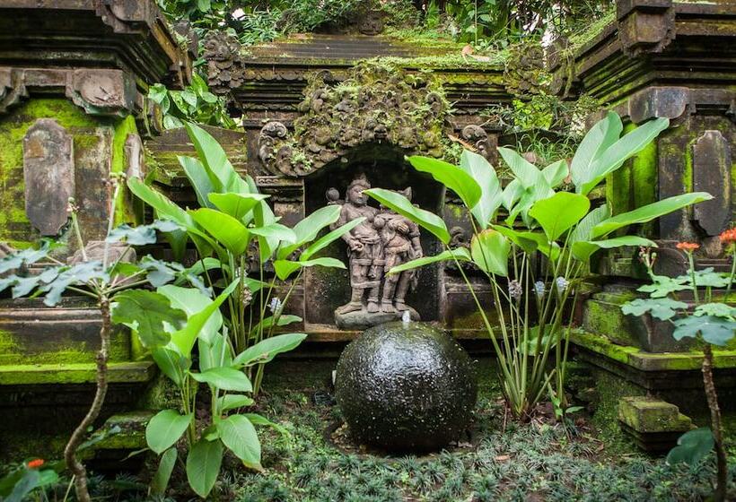 膳宿费 Rumah Desa Bali