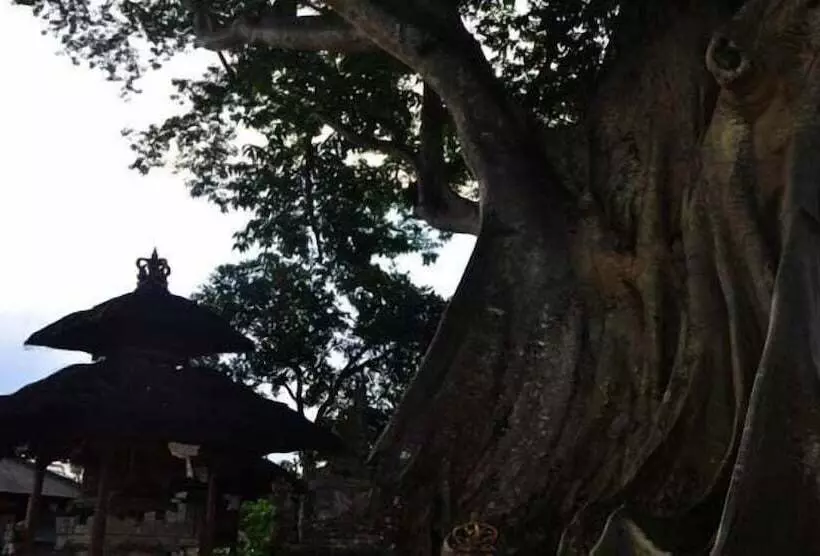 Majatalo Rumah Desa Bali