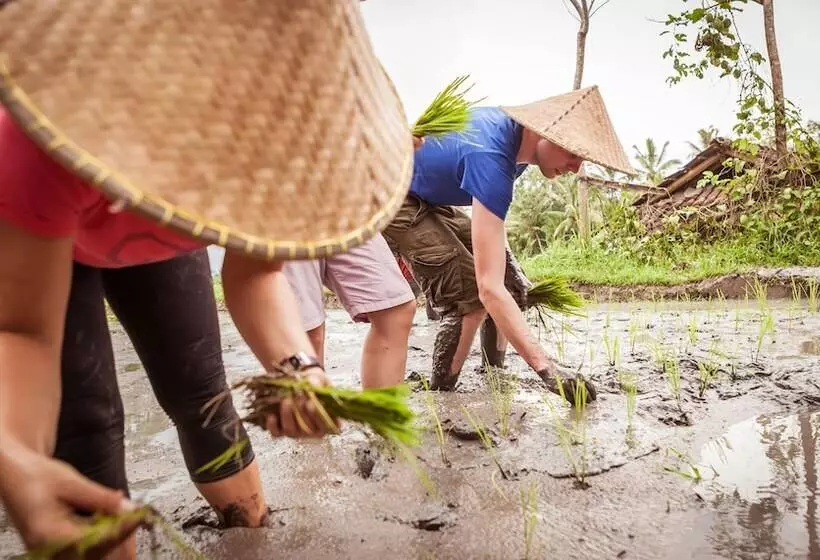 Majatalo Rumah Desa Bali