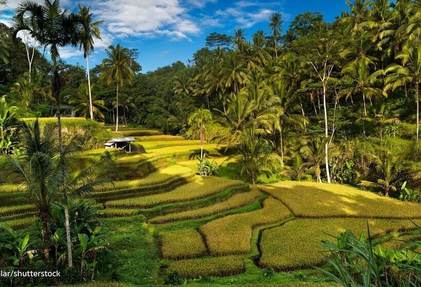 膳宿费 Rumah Tu7u