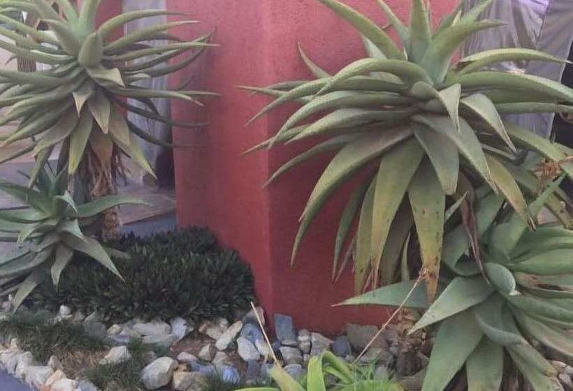 פנסיון Shidila Lodge