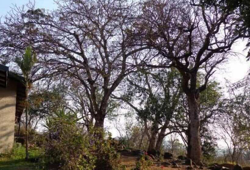 פנסיון Shidila Lodge