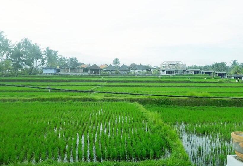 Пансион Tantra House Ubud