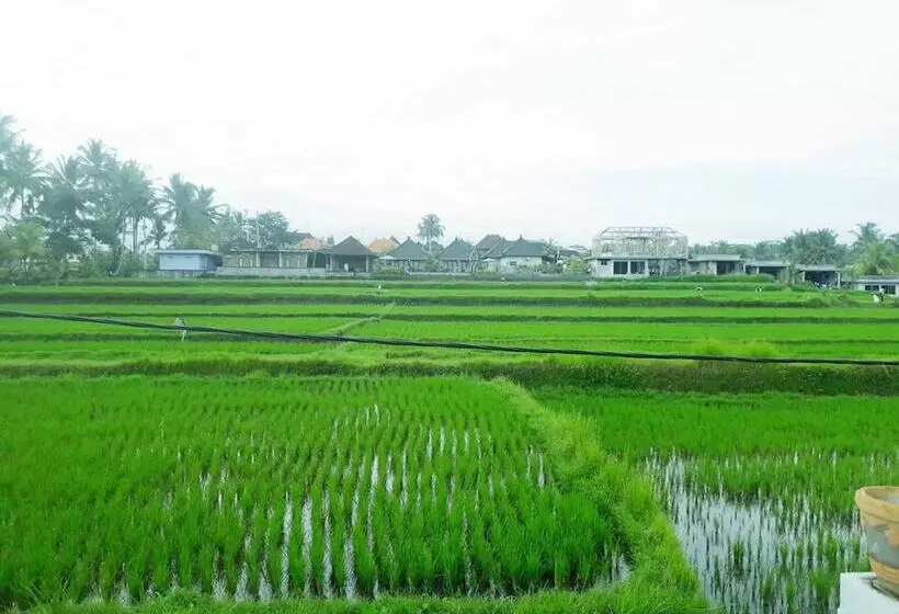 ペンション Tantra House Ubud
