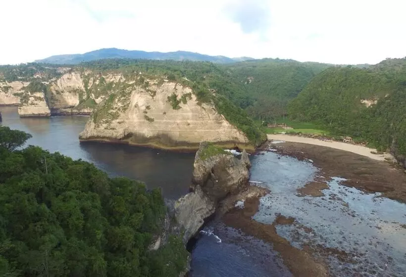 Majatalo Timbis Homestay Bali