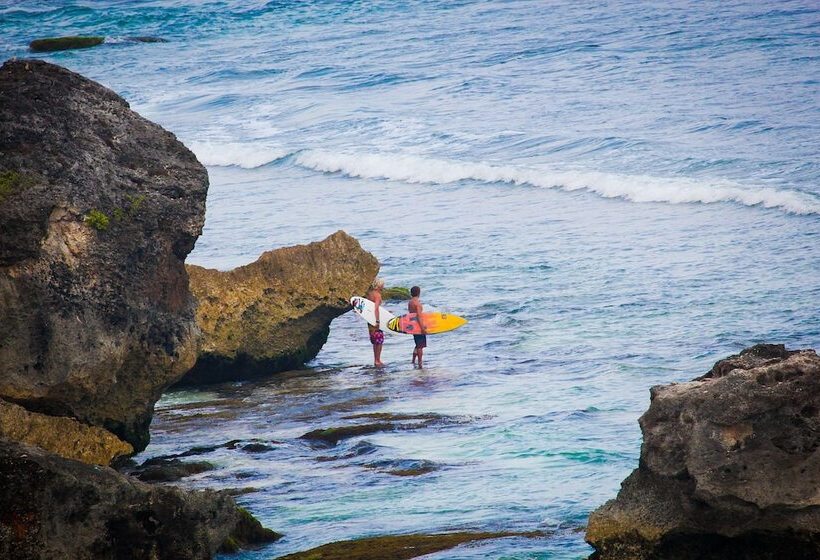 膳宿费 Timbis Homestay Bali