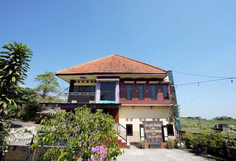 فندق صغير Carina Hotel By Oyo Rooms