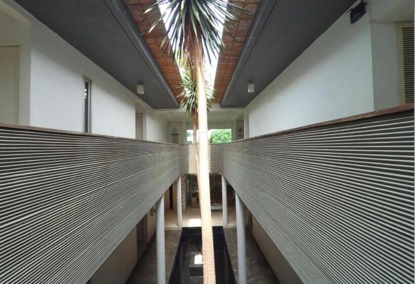 Hotel Flat06. Cipete