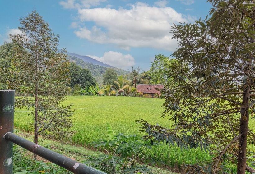 酒店 Mandhasativa Homestay