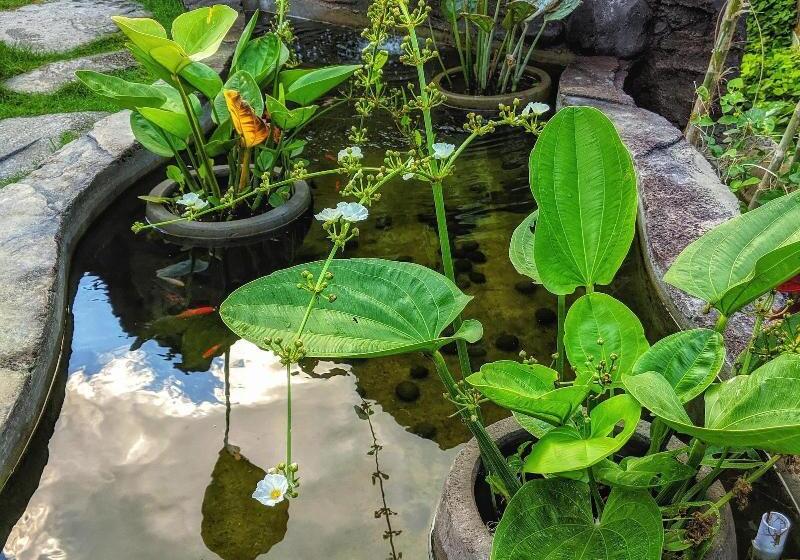 호텔 Ohana Retreat Bali