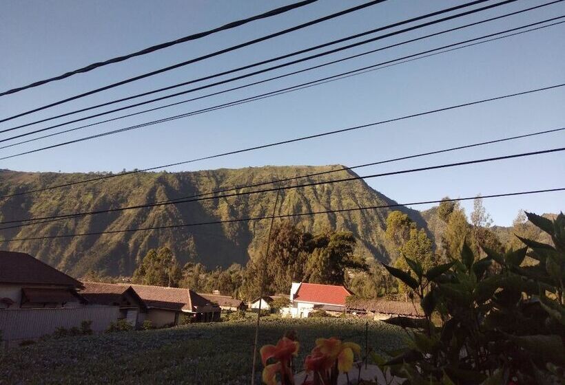 ペンション Balqis Home Stay