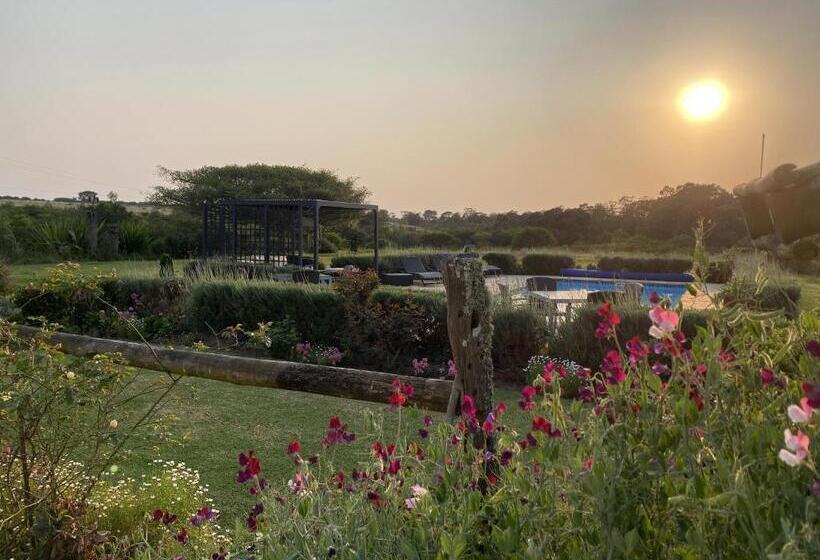 بنسيون Kingston Farm