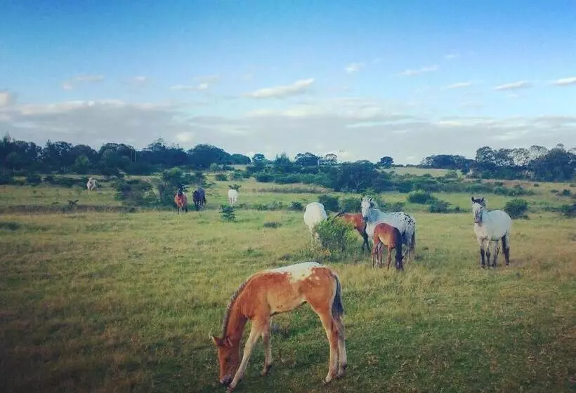 ペンション Kingston Farm