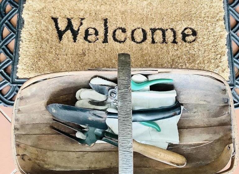 بنسيون Kingston Farm