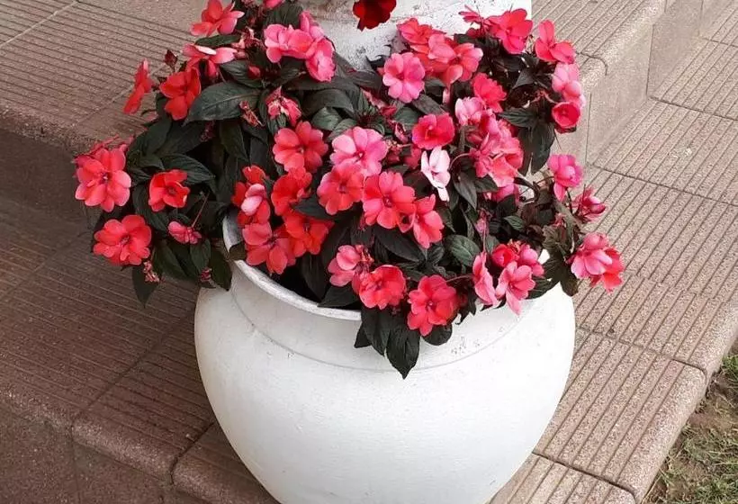 Aamiaismajoitus (B&B) Die C Skulp